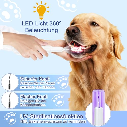 ETACCU Hund Zahnsteinentferner Zahnreinigung mit LED-Licht, 5 Modi Plaque Entferner für Zahnpflege zu Hause und Hunde und Katzen, Hund Zahnstein Entfernen, Weiß