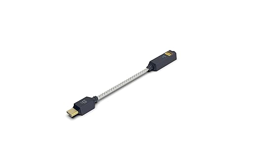 iFi Audio GO Link 2