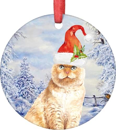 Scottish Fold Cat Christmas Ornaments Scottish fold cat ornaments Santa Cat Christmas Tree Decorations Xmas Cat Ornaments for Christmas tree Christmas Ornament Christmas Decorations Holiday Pet Gifts