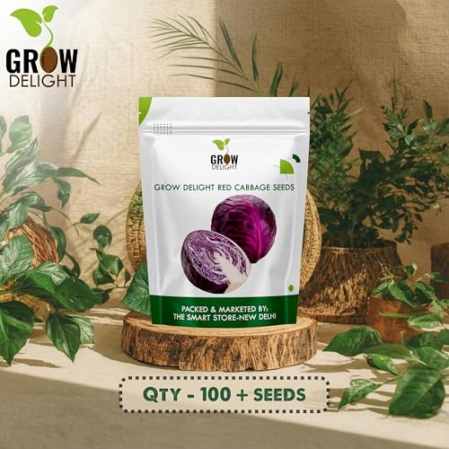 Image of Red Cabbage (Laal Patta Gobhi) (100 Seeds) Exotic Vegetable Seeds for Home Garden, Organic & Hybrid, Perfect for Home Gardening, Planting For Pots and Patio