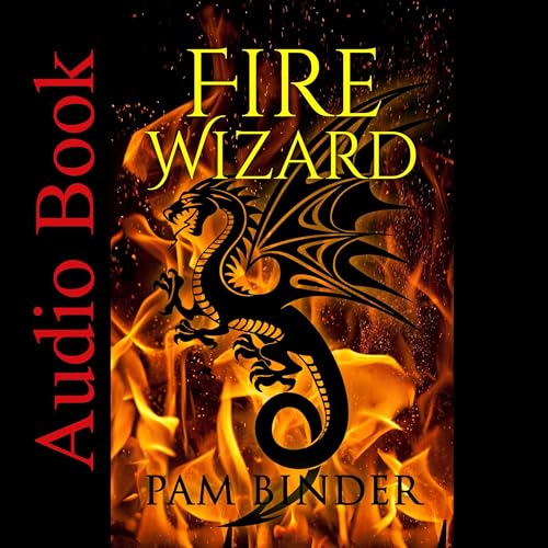 Page de couverture de Fire Wizard