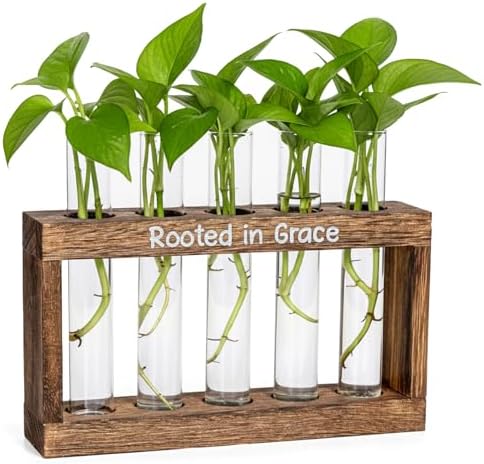 Rooted in Grace Plant Propagation Station – Wooden Stand with 5 G...