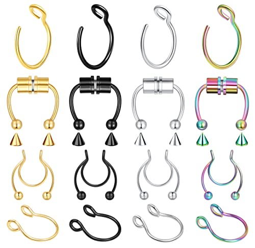 1-16Pcs 16G 18G 20G 22G Nose Rings Hoops Nose Piercings Fake Nose Ring Fake Septum Nose Ring Fake Lip Rings Fake Septum Piercing Fake Nose Piercing Fake Nose Hoop Faux Nose Rings Clip On Nose Cuffs Nose Piercing Jewelry Nose Rings for Women Men Nose Hoops Cartilage Hoop Earring