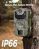 iZEEKER Wildkamera Ohne WLAN, Wildtierkamera mit 940nm No Glow Infrarot LEDs, Wildkamera mit Bewegungsmelder Nachtsicht IP66 Wasserdicht für die Tierbeobachtung Heim Sicherheit