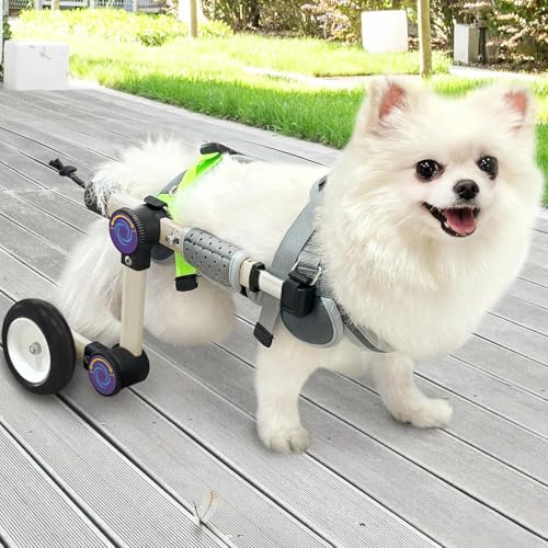 LetPetRun Adjustable Dog Wheelchair for Back Legs Mobility Support Lightweight Pet Wheelchair for Disabled Hind Legs Walking Stable Dog Cart for Pets, XX-Small White