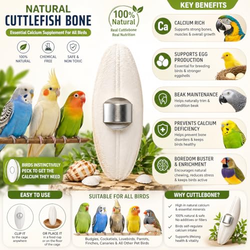 Image of The Pets Company Natural Cuttlefish Bone for Birds | High Calcium Supplement | for Finches, Budgies, Cockatiels, Lovebirds, Conures, African Grey Parrots, Macaws, Cockatoos & All Pet Birds - 100 GMS