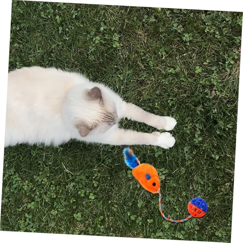 Jouet interactif pour chatons idéal pour le jeu actif en appartement - 5