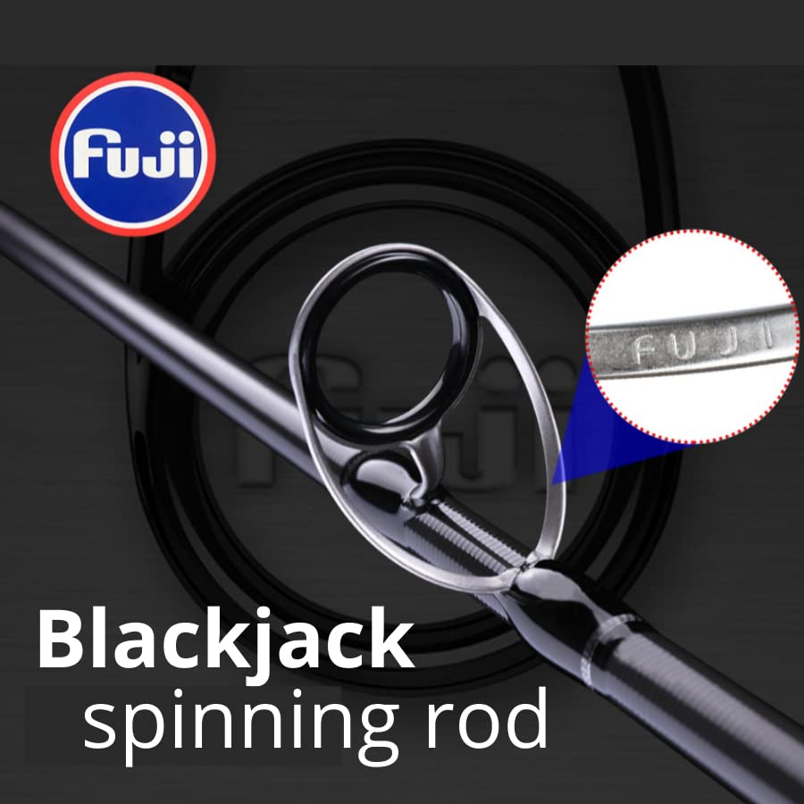 Canne à pêche rotative Blackjack avec 2 pointes interchangeables action extra rapide