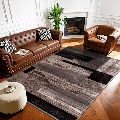 LIANLAM 4x6 Washable Area Rugs for Living Room and Bedroom(4x6,Chocolate)