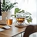 GROSCHE Aberdeen Tea Infuser Teapot & Smart Tea Maker - BPA-Free, Drip-Free Design | Coaster | Easy Brew | Easy Clean Steeper | Loose Leaf Brewing - Stylish Design | 17.7 oz - 1000 ml