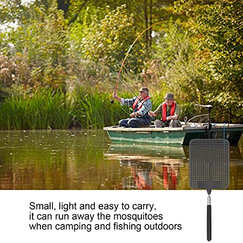 Pilipane Fly Swatter,Durable Flexible Telescopic Bug and Fly Swatter,Fly Swatter Heavy Duty,Plastic Fly Swatter with Stainless Steel Rod,Flyswatter Swatter,for Indoor Outdoor Classroom Office(Black)