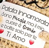 TerraDesign B0FPHLQSJV lato 4