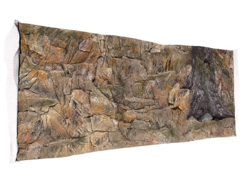 Akwarium tylna ścianka 3D standardowa 100 x 60 cm w Robizoo