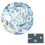 Taille Pratique: Adhésif pour fenêtre d'environ 4 cm de largeur et 8 cm de longueur, auto-collant, installation et retrait simples sans résidus.