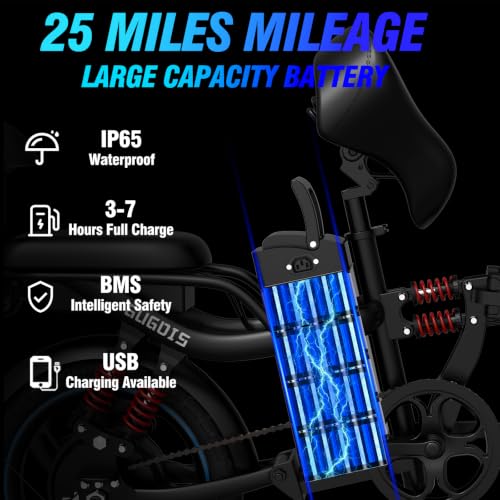 ZABLIZ Folding 2 Seater Electric Bike