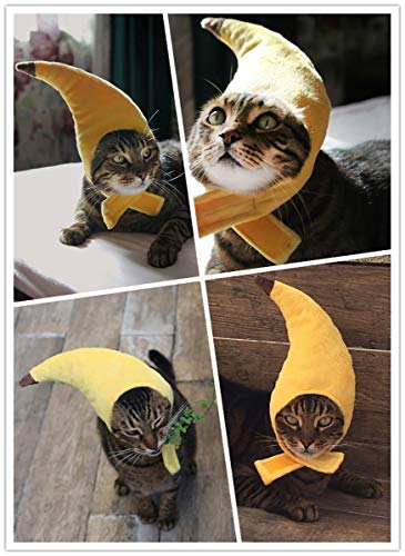Disfraz para perros y gatos Halloween plátano pequeño miniatura 5
