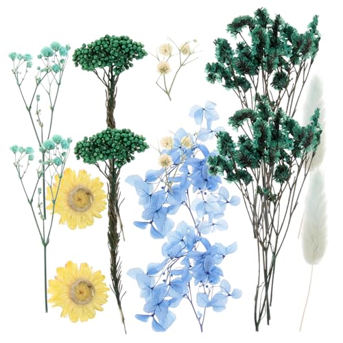 Flores naturales prensadas para manualidades y decoración miniatura 6