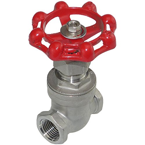 Preisvergleich Produktbild Edelstahl Muffenschieber 1 Zoll