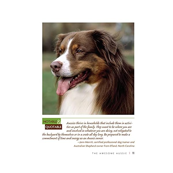 Ultimate Guide to Australian Shepherd Dogs: Origins, Care, Training, Health