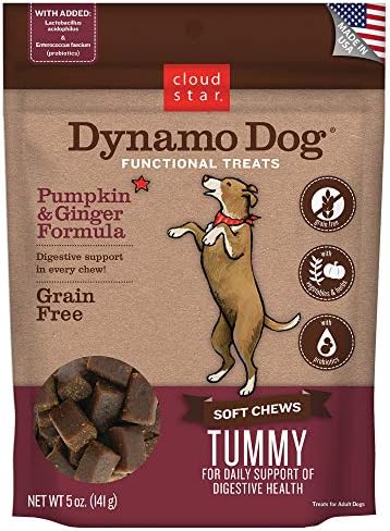 dynamo dog hip and joint