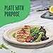 Paper Plates, 100% Compostable Heavy Duty Disposable 10 Inch Plate - [125-Pack] - {PFAS-Free} - {BPI Certified} Eco-Friendly, Biodegradable Bagasse