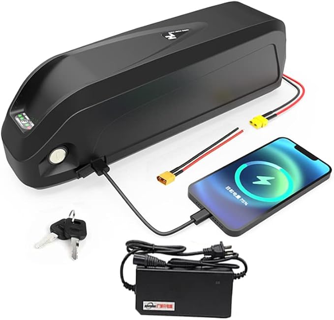 Alalito (US Warehouse) Ebike Battery 48V 17AH Lithium ion Battery with Charger, USB