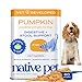 Native Pet Organic Pumpkin for Dogs (8 oz, 16 oz) - All-Natural, Organic Fiber for Dogs - Mix with Water to Create Delicious Pumpkin Puree - Prevent Waste with a Canned Pumpkin Alternative! (16 oz)