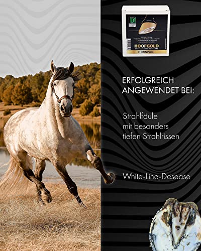 Foto von HOOFGOLD Hornpad für Pferde - Strahlpflege bei Strahlfäule, zum Eindrücken in die Strahlfurche, Inhalt 10 Pads