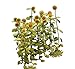 Diorama Accessories Series 1/48 sunflower (japan import)