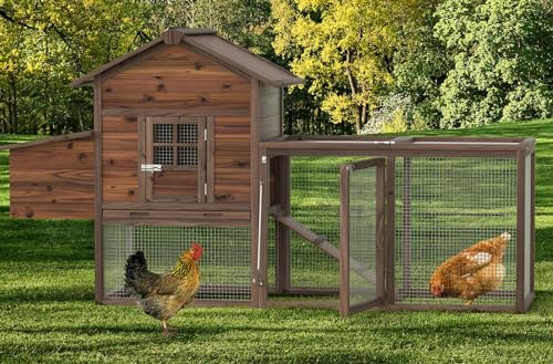 Wooden Chicken Coop Large Outdoor Hen House with...