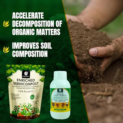 Image of OrganicDews Enriched Vermicompost 1 Kg + Liquid Seaweed Fertilizer 250ml Bio Stimulant - Plant Growth Enhancer, Soil Conditioner for Indoor & Outdoor