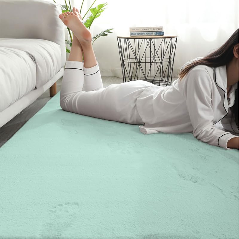 Image of Rabbit Fur Area Rug 6x8 Ft | Super Soft Plush Carpet with Anti-Slip Backing | Washable Luxury Rug for Bedroom, Living Room & Home Decor