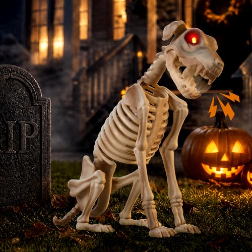 15 Halloween Animatronic Skeleton Dog Decoration Sound Activated with Glowing Red Eyes Moving Mouth Creepy Barking Sound for Haunted House Porch Lawn Indoor Outdoor Halloween Decoration