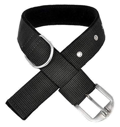 See full amazon price history chart for PSK PET MART Nylon Strong and Durable Dog Collar Dog Belt for Small,Medium and Large Breed Dogs,(Size-1.25 Inches) PSK PET MART Nylon Strong and Durable Dog Collar Dog Belt for Small,Medium and Large Breed Dogs,(Size-1.25 Inches) (B08K7KM4VQ) Amazon Price History, Amazon Price Tracker