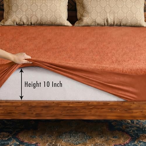 Image of Lithara Terry Cotton Fitted Mattress Protector for Queen /Double Bed | Waterproof & Elastic Band | Ultra Soft & Hypoallergenic Mattress Cover | Size : 75 x 60 Inches (6.25 x 5 Feet) | (Golden)