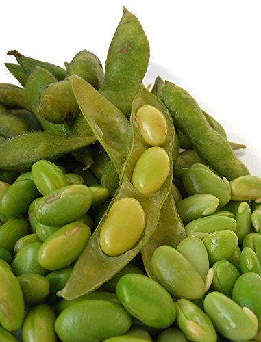 soja, MIDORI GIGANTE - GREEN EDAMAME sushi, 30 semillas