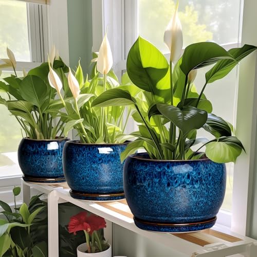 SQOWL 10 Inch Plant Pot - Ceramic Planter Pot with Drainage Hole and Saucer, Decorative Plant Pot for Indoor Outdoor Plants, Round Large Planter Flower Pot, Blue — view 6