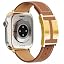 Brown+Gold Buckle