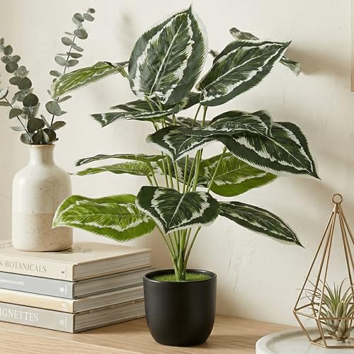 Image of Dekorly Plastic Artificial Palm Plants Leaves Faux Turtle Leaf Fake Monstera Tropical Large Palm Tree Leaves Outdoor Leaf Decorations | 26Inch Plants with Blackpot (Calathea)