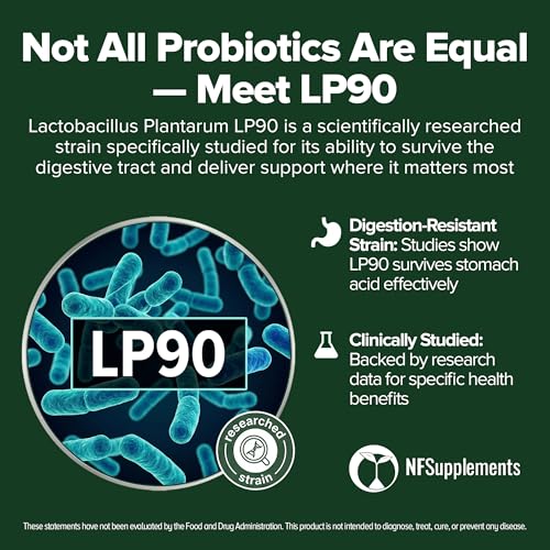 Image of Lactobacillus Plantarum Probiotic 240 Tablets (4 Month Supply) - Researched Strain LP90 - 3 Billion CFU - Digestive Health & Gut Comfort - GMP Certified (240, Lactobacillus Plantarum)