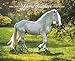 Horse Feathers 2015 Wall Calendar
