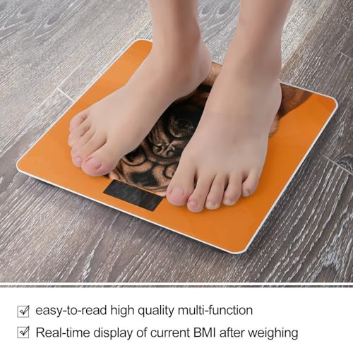 Báscula digital para baño con pantalla LED y vidrio templado miniatura 5