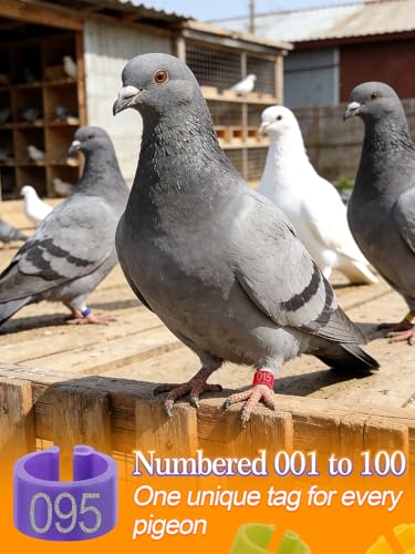Anneaux pour pattes d'oiseaux numérotés 8mm bande caille