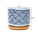 GeLive 3 Inch Ceramic Succulent Planter, Cactus Plant Pot, Flower Container with Bamboo Drip Tray, Indoor Outdoor, Set of 2 (Wave and Blue Flower)