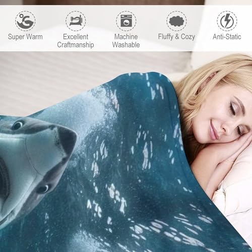 Plaid polaire canape requin couverture douce flannel 180x200