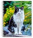 Cat Lovers | 2026 6 x 7.75 Inch Spiral-Bound Wire-O Weekly Engagement Planner Calendar | New Full-Color Image Every Week | BrownTrout | Animals Domestic Kittens Feline