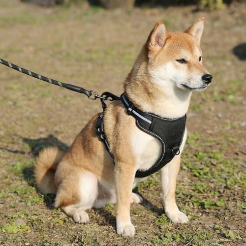 Image of Amazon Basics No-Pull Dog Harness, Soft Padded Adjustable Vest with Reflective Stripes, Medium, Black