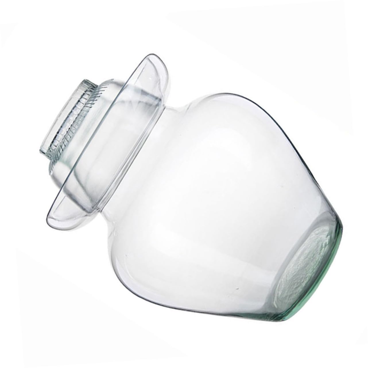 Tarro de Cristal para Encurtidos Tapa, Vidrio, Acero Inoxidable y Plástico | Verduras y Pepinillos, Uso en Cocina, Fácil de Limpiar, Incluye Cepillo y Pinza