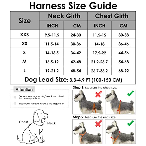 Lukovee-Dog-Harness-and-Leash-Set-Soft-Padded-Small-Dog-Harness-Neck-Chest-Adjustable-Reflective-Vest-Puppy-Harness-with-4ft-Lightweight-Anti-Twist-Dog-Leash-for-Small-Dogs-XX-Small-Purple - Cucciolini Doodles   Lukovee-Dog-Harness-and-Leash-Set-Soft-Padded-Small-Dog-Harness-Neck-Chest-Adjustable-Reflective-Vest-Puppy-Harness-with-4ft-Lightweight-Anti-Twist-Dog-Leash-for-Small-Dogs-XX-Small-Purple