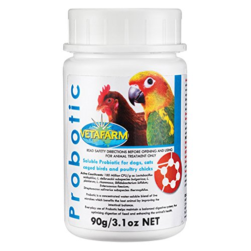 Vetafarm Probiotic 90g - Bird Probiotic Powdered blend of 7 live microbes for use in drinking water or addition to food.